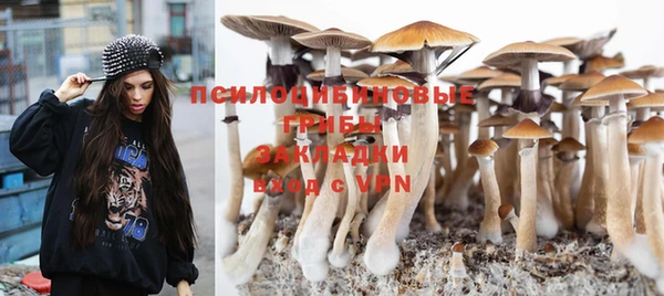 дурь Алзамай