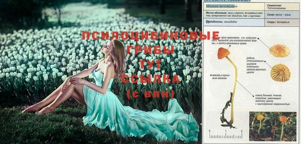дурь Алзамай