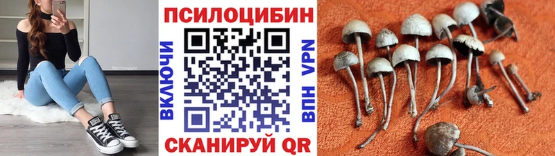 Галлюциногенные грибы GOLDEN TEACHER  kraken   Любим 